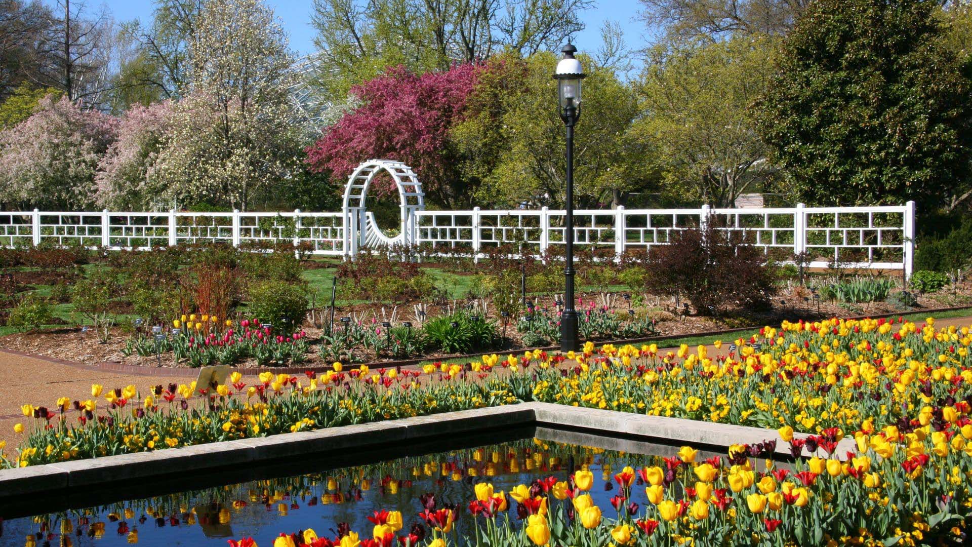 Missouri-Botanical-Garden2